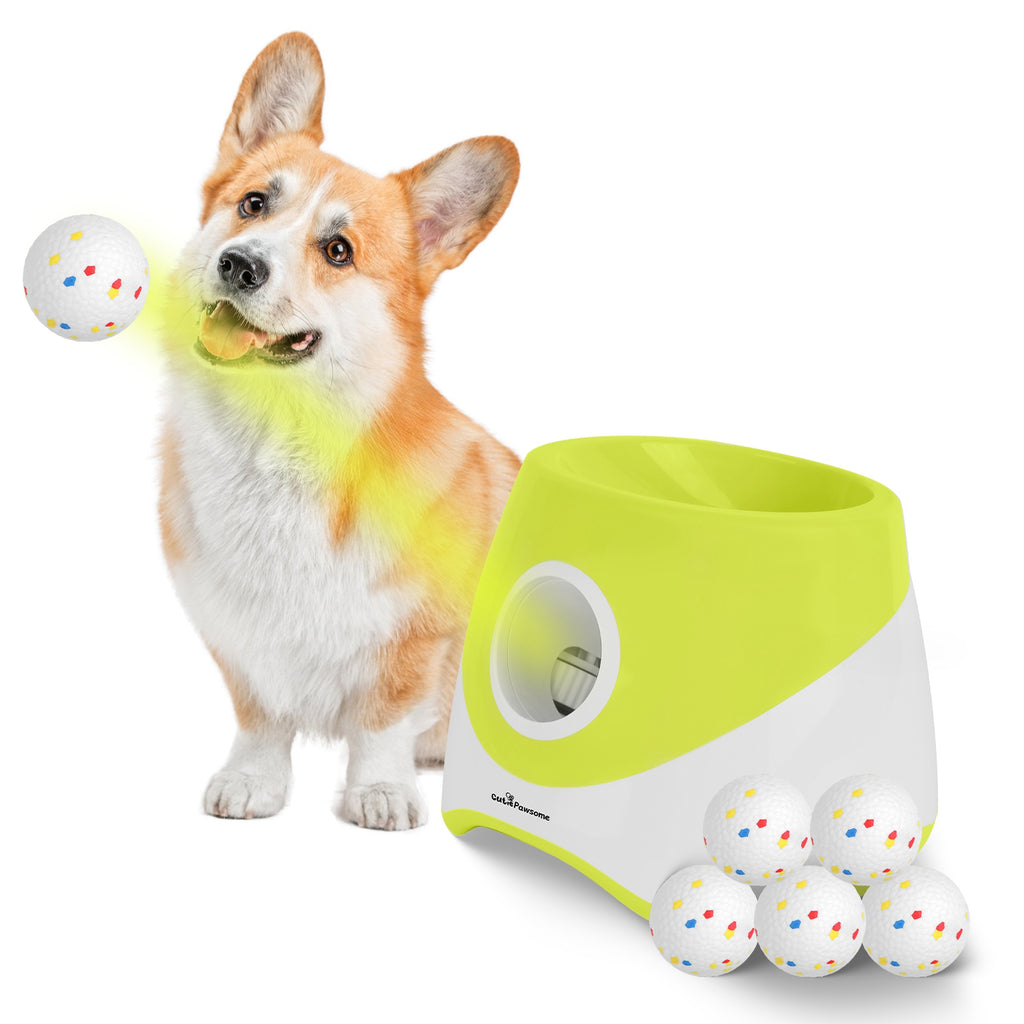 Automatic Dog Ball Launcher