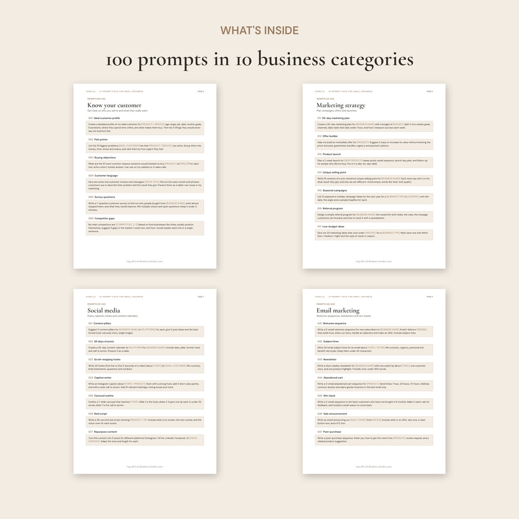 Pages inside the AI Prompt Pack