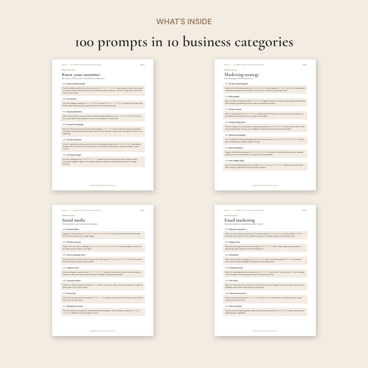 Pages inside the AI Prompt Pack